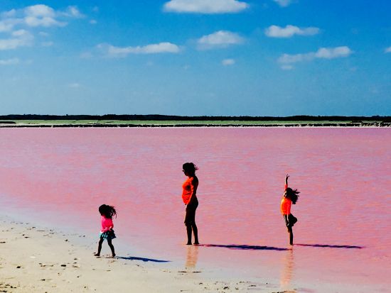 ピンクレイク観光ツアー　ジャングルツアー&天然泥パック体験付きプランあり＜スペイン語ドライバー／送迎あり／カンクン発＞