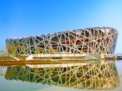 Bird's Nest