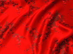 Luxurious Chinese Silk