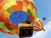 Orlando_Balloon Rides_Colorful Hot Air Balloons
