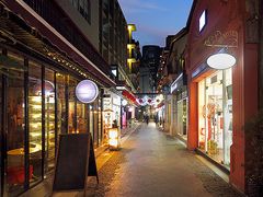 French Concession District