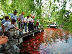 Hangzhou_Heaven_on_Earth_Day (10)