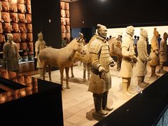Xi'An Museum of History Terracotta Army