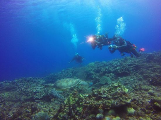 体験ダイビング ミクロネシア最大の大手ショップ！＜ビーチ／1～2ダイブ＞by アクアコネクションズ