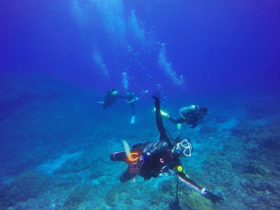 PADI オープンウォーター／アドバンス ダイビングライセンス取得コース 予習は日本で！短期取得プラン＜1.5日＞by アクアコネクションズ