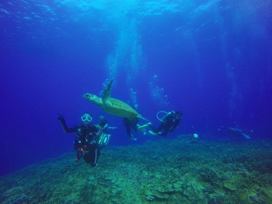 PADI オープンウォーター／アドバンス ダイビングライセンス取得コース 予習は日本で！短期取得プラン＜1.5日＞by アクアコネクションズ