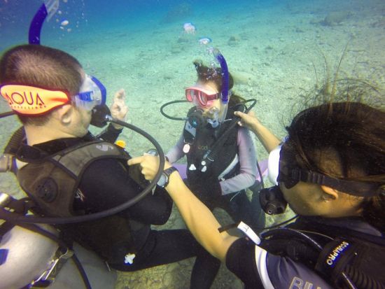 PADI オープンウォーター／アドバンス ダイビングライセンス取得コース 予習は日本で！短期取得プラン＜1.5日＞by アクアコネクションズ