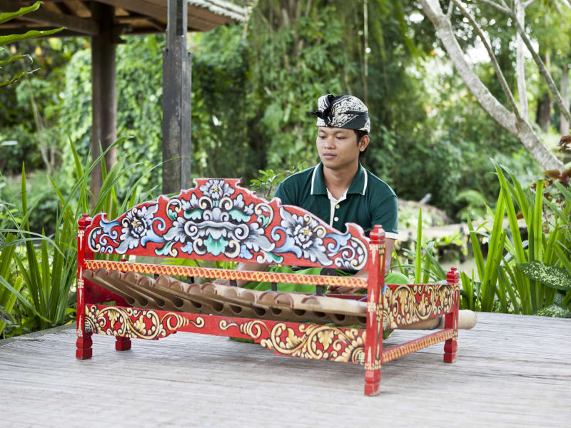 Balinese Countryside instruments