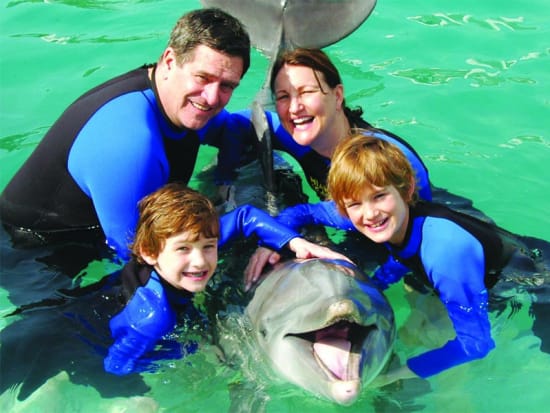 USA_Florida_Miami Seaquarium Dolphin Encounter