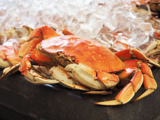 カニディナー＆サンフランシスコ夜景ツアー ＜日本語ガイド＞ 