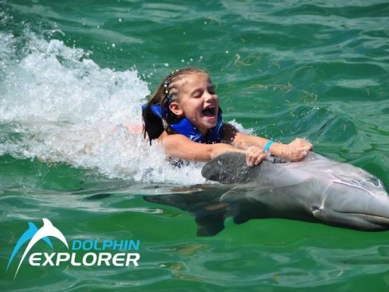 イルカと触れ合おう！選べる2つのプラン＜英語ガイド／プンタカナ発＞