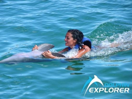 イルカと触れ合おう！選べる2つのプラン＜英語ガイド／プンタカナ発＞