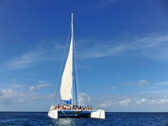 アクアマリンの海が広がる！サオナ島1日ツアー＜昼食付／英語ガイド／プンタカナ発＞