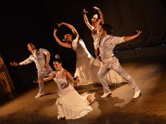flamenco