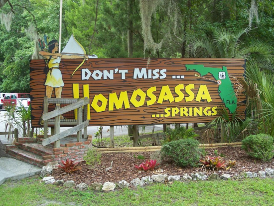 マナティと泳ぐシュノーケリング＆ホモサッサ州立公園　1日観光ツアー ＜昼食付き／英語ガイド＞