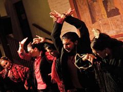 El_Tablao_de_Carmen_Dinner_and_Flamenco_Show (3)