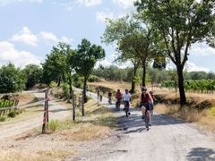 Tuscany Wine Tour by Bike (4)