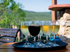 Wine, barcelona, spain