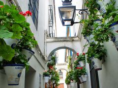 Jewish Quarter, cordoba, spain