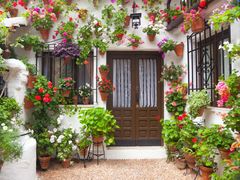Courtyard 5