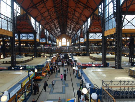 国会議事堂入場と中央市場見学半日ツアー＜午前・午後／日本語／少人数制＞