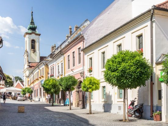 バロックの町センテンドレ半日観光＜貸切／日本語ガイド／ブダペスト発＞