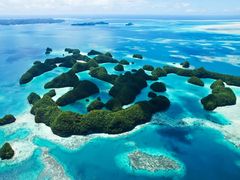 shutterstock_305510270