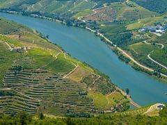 Vale do Douro