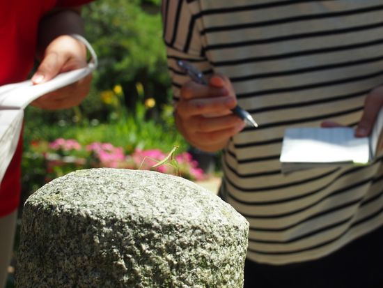 俳句インストラクター