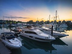 IMG_8585