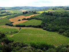 Tuscany Wine Trail (15)
