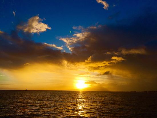 13600014_10154394501187608_2372354505495648849_n