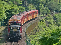 11 23 25残席わずか トロッコ列車と保津川下り バスツアー 並ばずスムーズに乗船 乗車 嵐山散策も 京都駅発 1日 0 5歳無料 By京都定期観光バス 京都の観光 遊び 体験 レジャー専門予約サイト Veltra ベルトラ