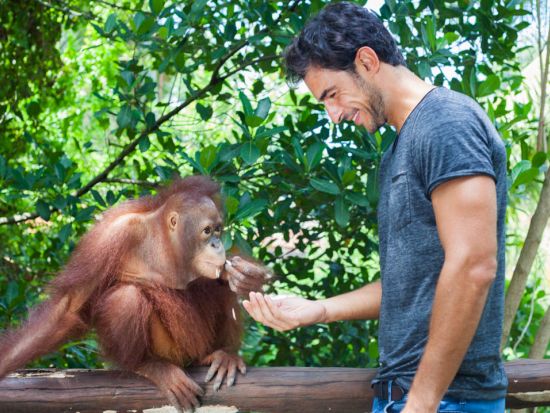 予約困難の大人気ツアー！【バリ・ズー（動物園）】オランウータンと朝食+パーク入場券＜午前／ホテル往復送迎付プランあり／朝食ブッフェ付＞