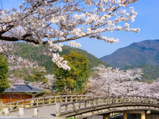  【多言語バスツアー】金閣寺＋伏見稲荷大社＋嵐山散策バスツアー＜英・中・韓音声ガイド／京都駅発／1日＞by おこしバス（京都定期観光バス）