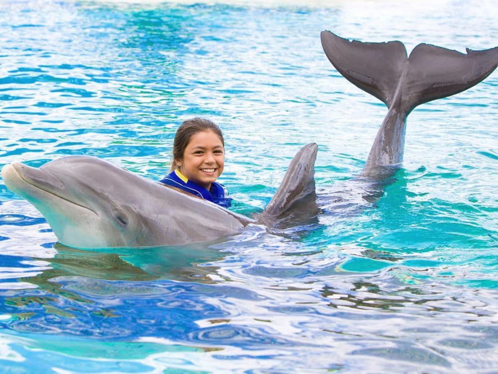 We Play with Dolphins on a Tropical Island! Kids Fun TV 