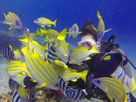 【ベストプライス】青の洞窟 体験ダイビング　透明度抜群の早朝7時30分便もあり！当日15時まで受付＜ボート／ガイド貸切／ショップ設備利用可／恩納村発＞