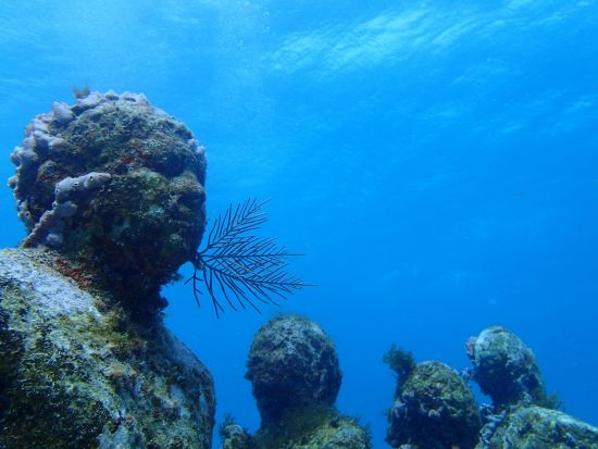 体験ダイビング MUSA水中美術館(海底美術館)＆カリブ海の美しいリーフ プール講習付で安心！＜午後／ボート／2ダイブ＞