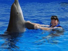 dolphin02
