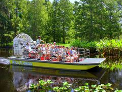 wildflorida02