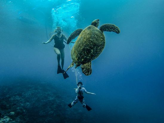 ラナイ島 シュノーケリングクルーズ　 ＜1日2便／食事＆アルコール2杯付き＞