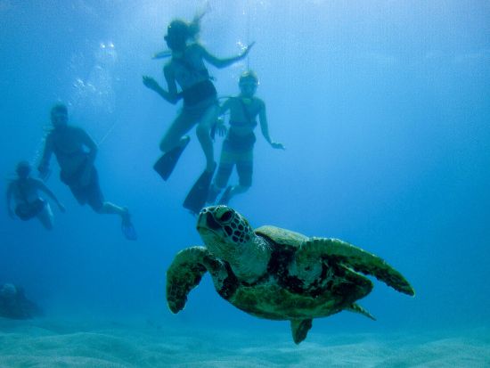 ラナイ島 シュノーケリングクルーズ　 ＜1日2便／食事＆アルコール2杯付き＞