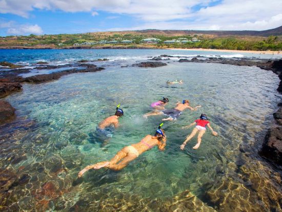 ラナイ島 シュノーケリングクルーズ　 ＜1日2便／食事＆アルコール2杯付き＞