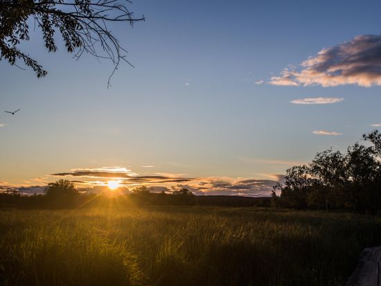 フィンランドの白夜 沈まぬ太陽 撮影ツアー プロのガイドがレクチャーします！＜6～10月／軽食付／英語／ロヴァニエミ発＞