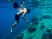 koh tao island guided snorkeling tour thailand