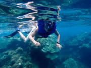 koh tao island guided snorkeling tour thailand