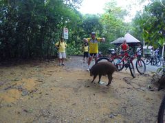 Pulau Ubin 3