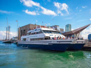 USA_Boston_Harbor Cruises_Whale Watch Cruise