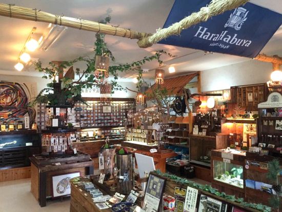 愉快なハブのショータイム「ハブと愛まショー」1日3回開催　ハブ使いが笑い・驚き・奄美の伝統をお届け＜笠利町＞ by 原ハブ屋奄美