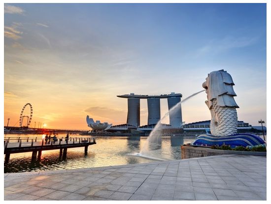 シンガポール半日観光ツアー　マーライオン＆シアン・ホッケン寺院＆世界遺産シンガポール植物園＆国立蘭園 ＜英語ガイド＞